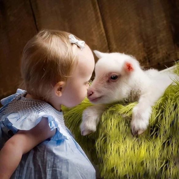 شفقت و عشق کودکان به حیوانات